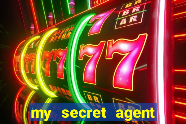 my secret agent husband legendado